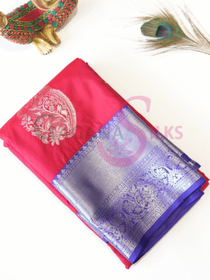 Timeless Fancy Saree
